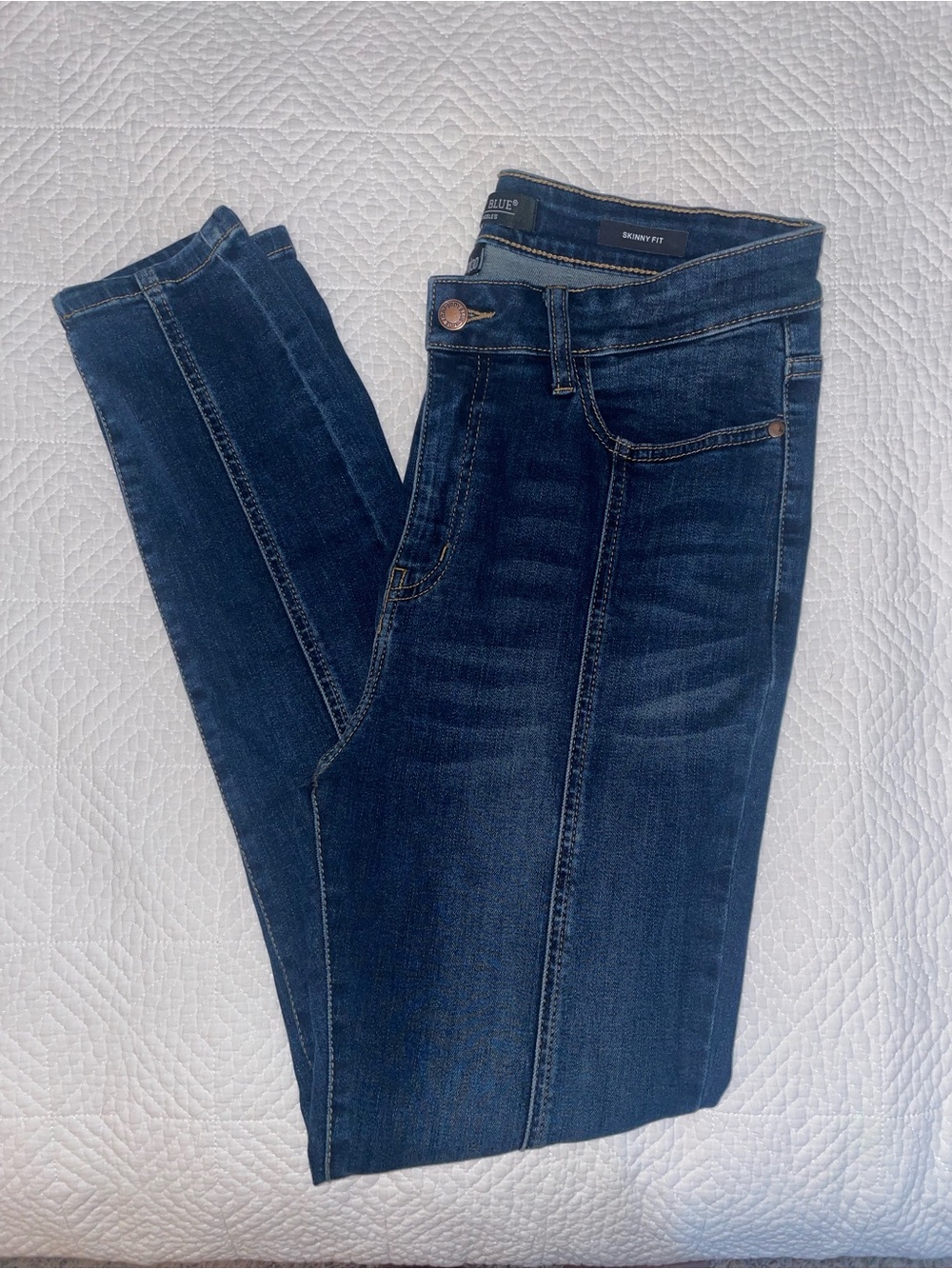 Judy Blue Indigo Skinny Jeans